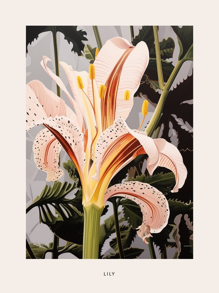 Flower Illustration Lily 3 Poster