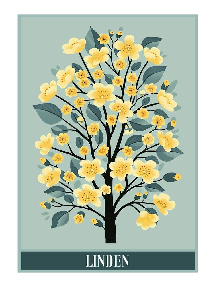 Linden Tree Flat Illustration 1 Poster