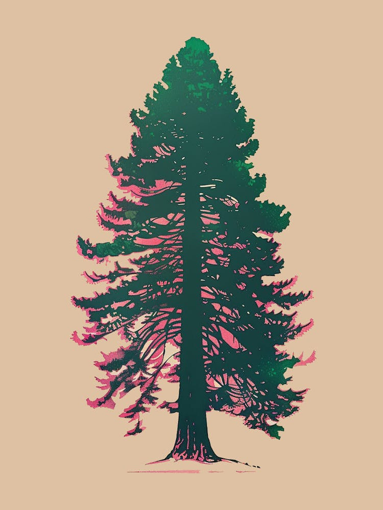 Redwood Tree Colourful Illustration 3