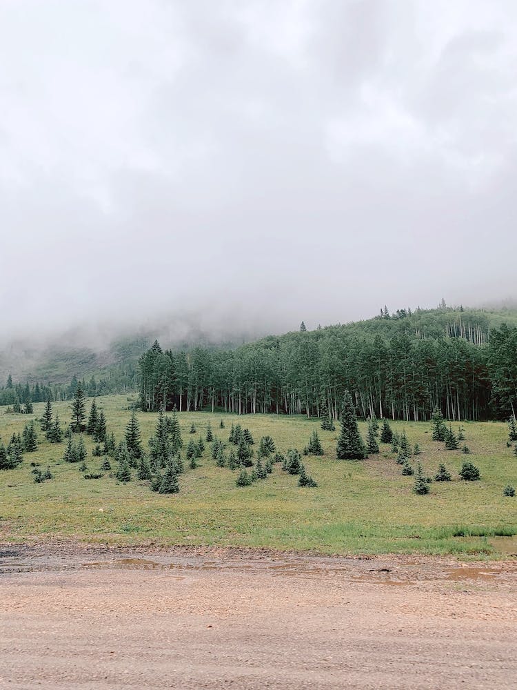 Foggy Mountains