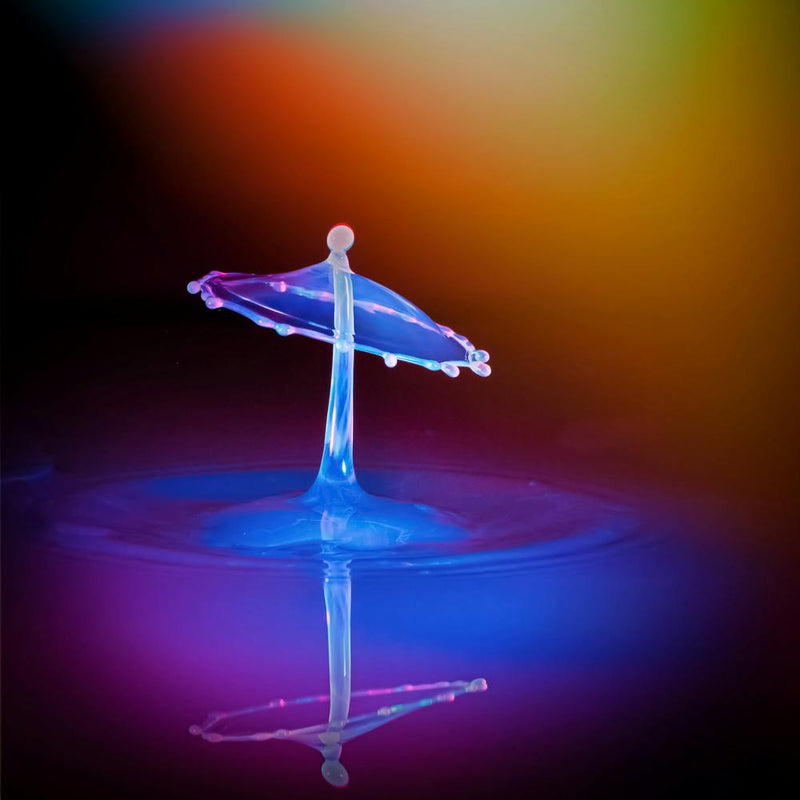 Umbrella In Water