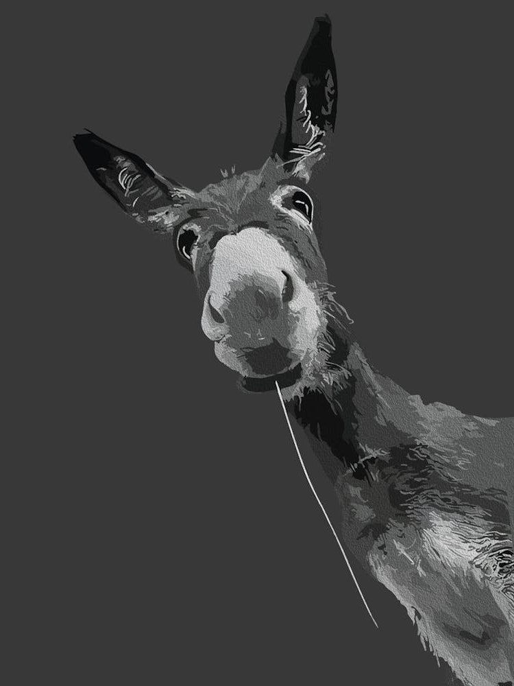 Funny Donkey Grayscale Portrait Art