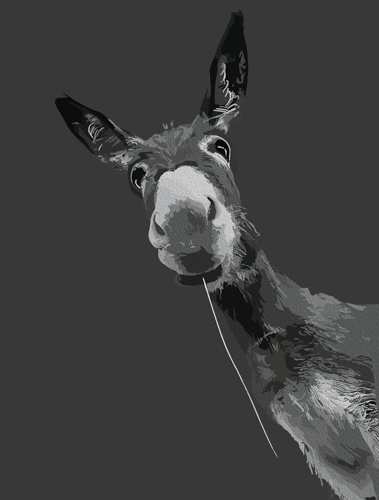 Funny Donkey Grayscale Portrait Art