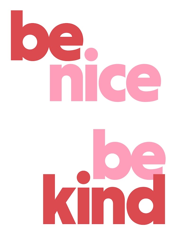 Be Nice Be Kind 2