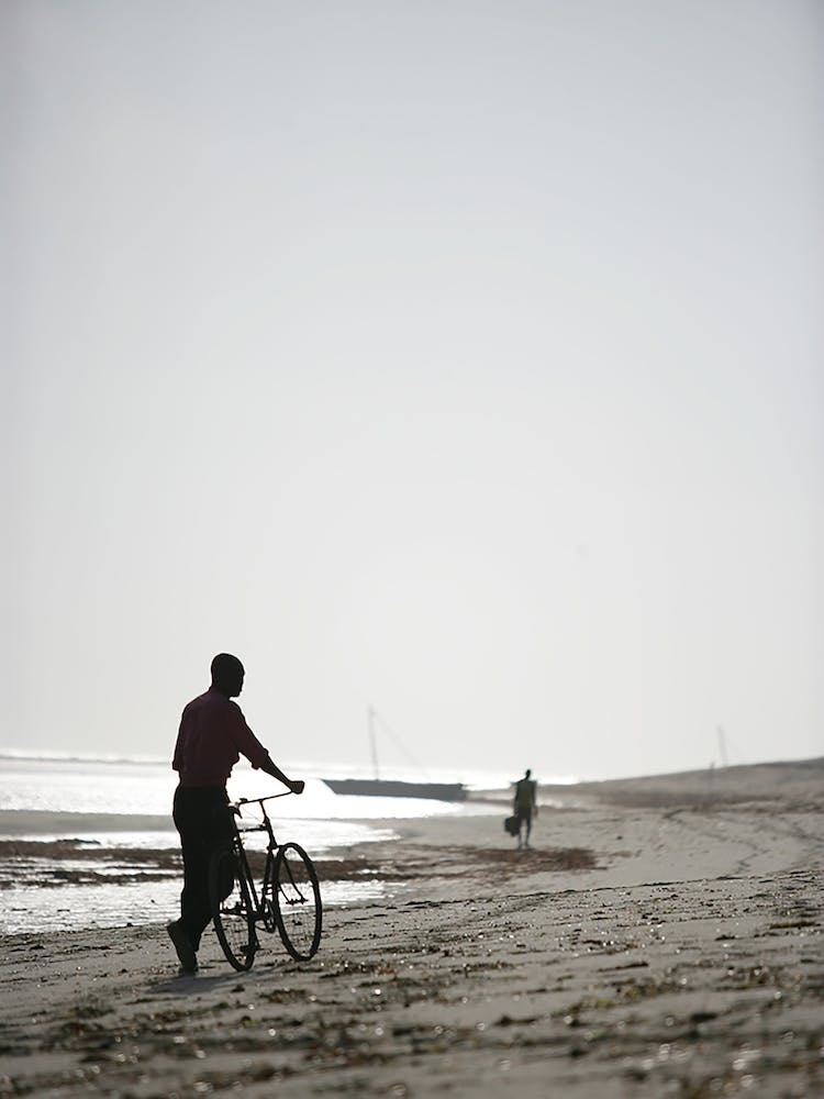 Bike Boy