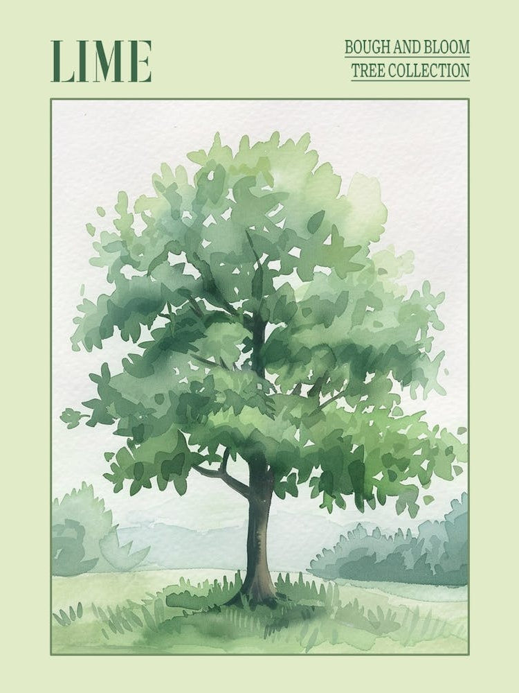 Lime Tree Atmospheric Watercolour Painting 1 Poster
