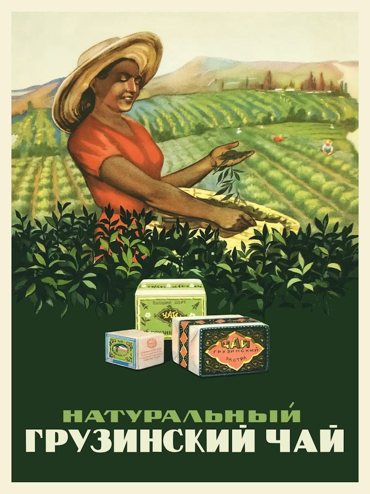 Soviet Georgian tea, USSR, 1956 / Natural Soviet Georgian tea — Soviet tea poster, vintage kitchen prints, vintage tea print, propaganda poster, 50s wall decor