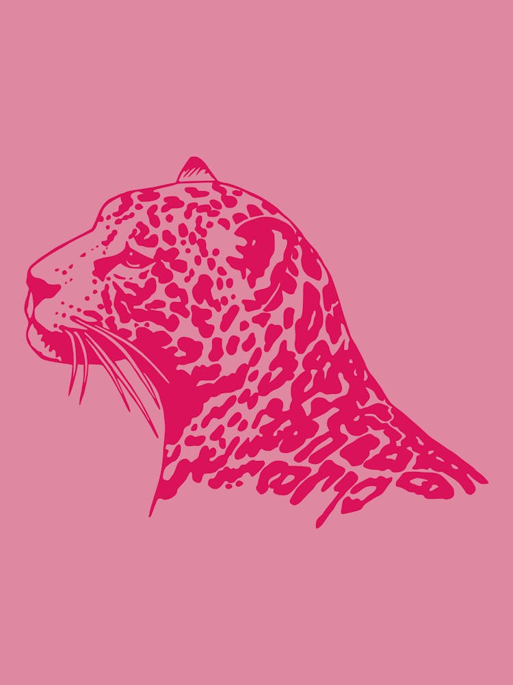 Tête de Léopard
