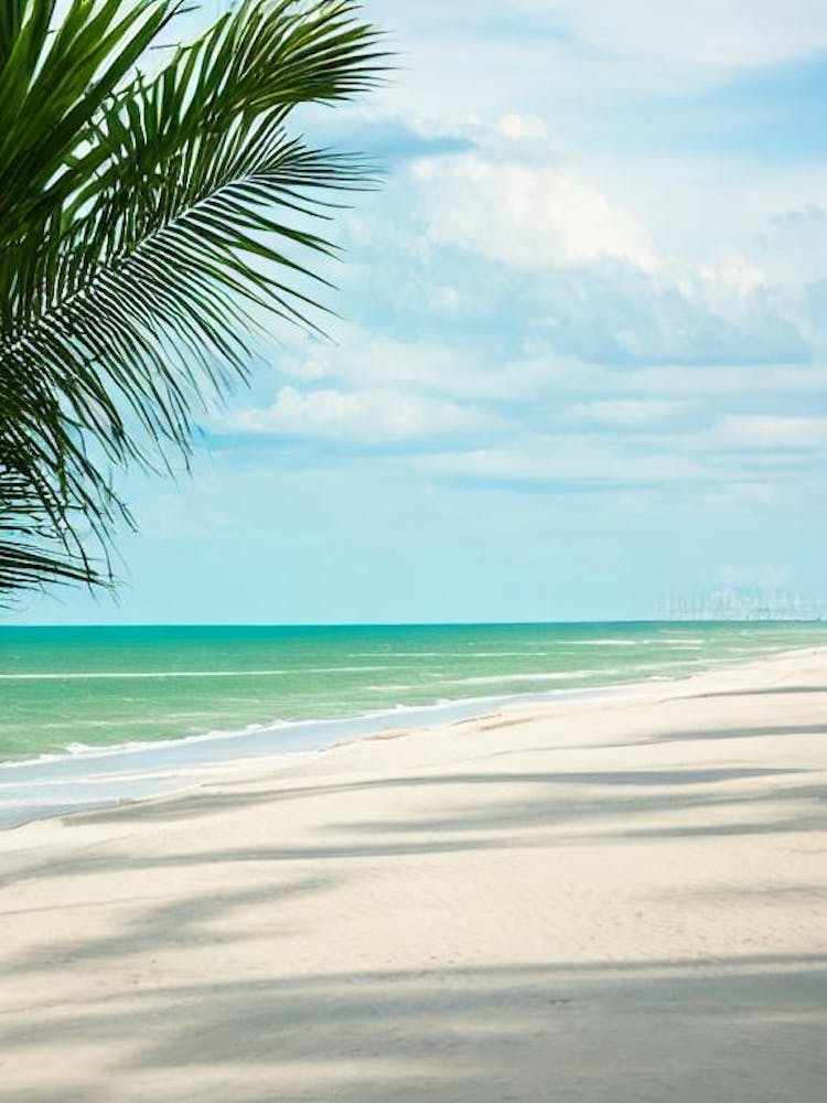South Padre Island, Texas Contemporary Illustration 1