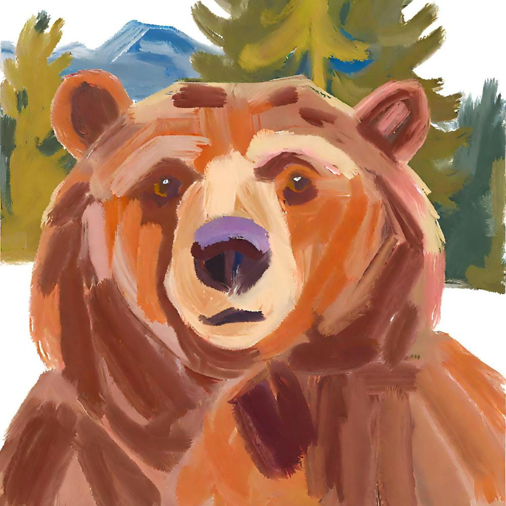 Brown Bear 02
