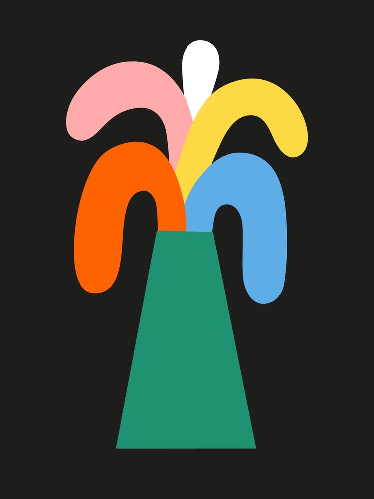 Rainbow Palm