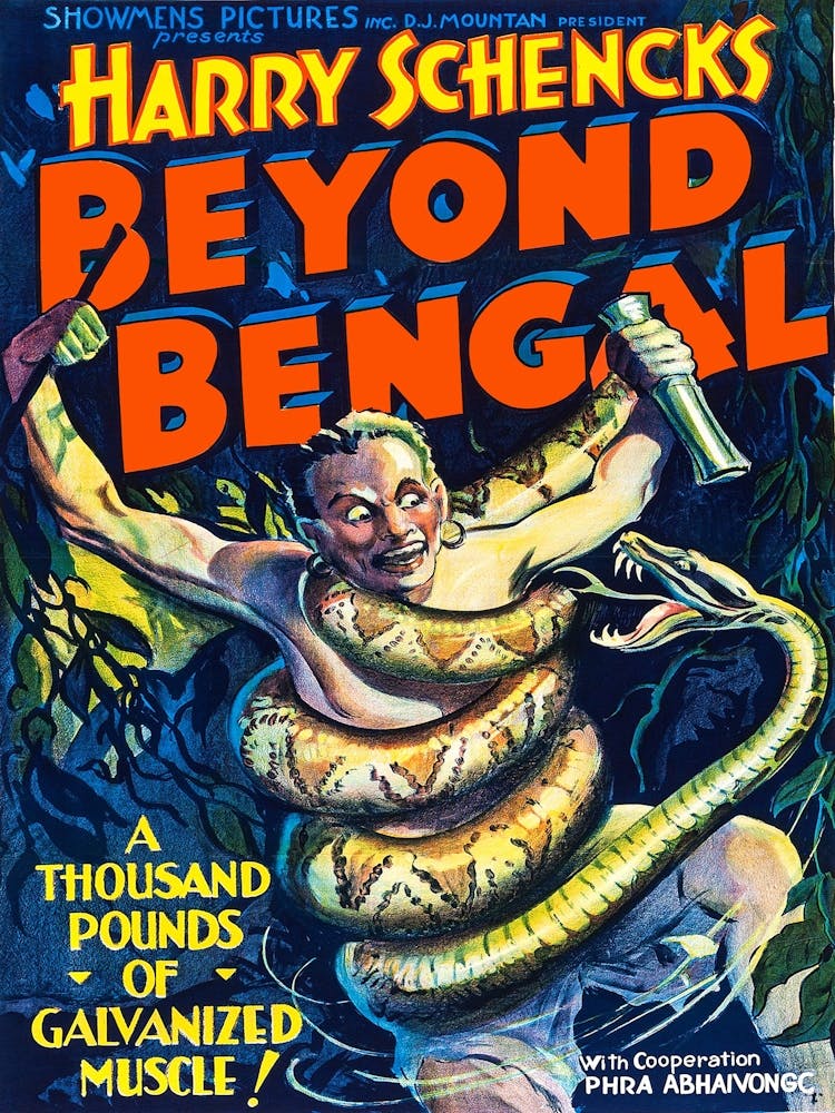 Funny Movie Poster, Beyond Bengal