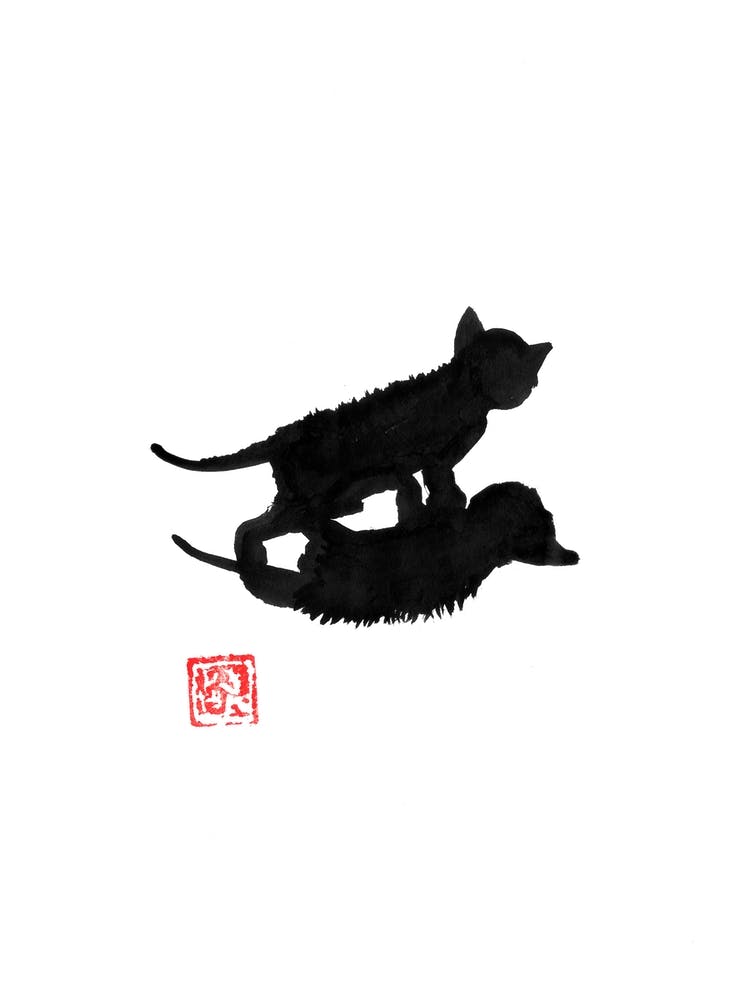 Cat Shadow