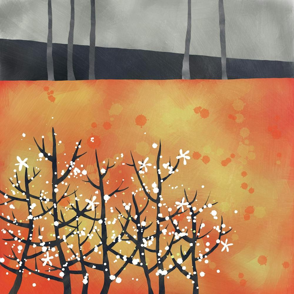 Blackthorn Blossom Abstract Orange Landscape