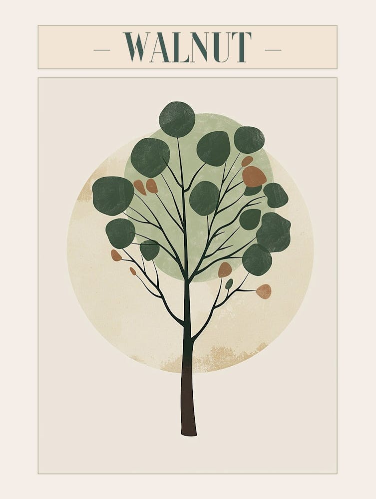 Walnut Tree Minimal Japandi Illustration 1 Poster