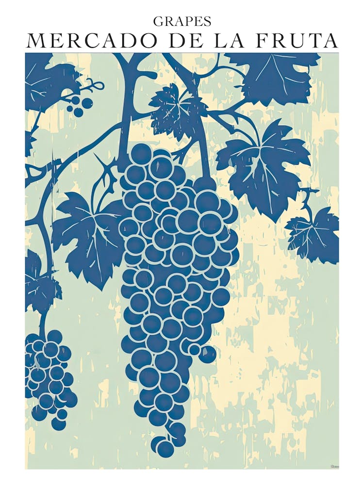 Mercado De La Fruta Grapes Illustration 1 Poster
