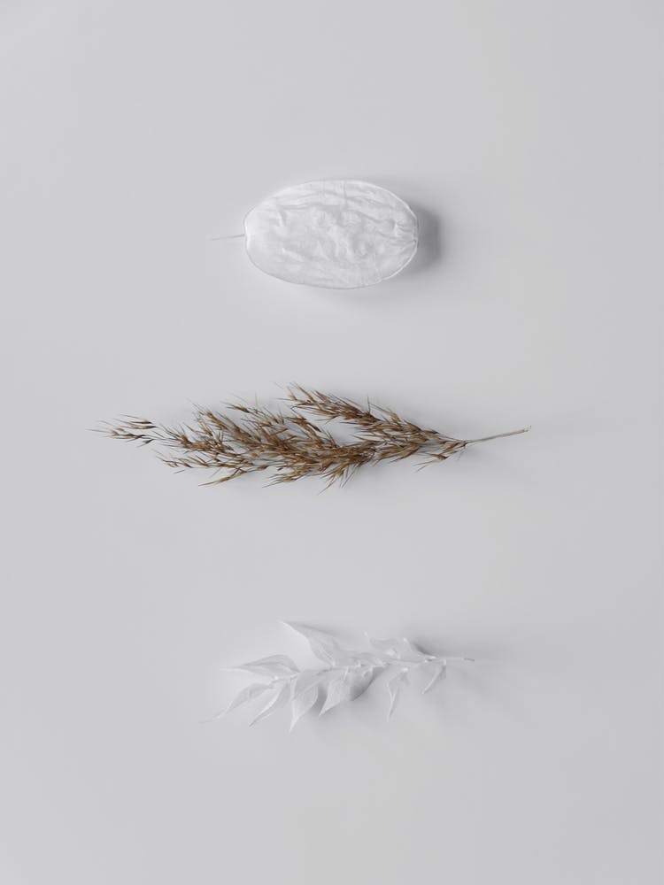 Stones And Branches 2