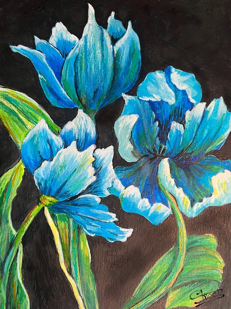 Christi Tulips