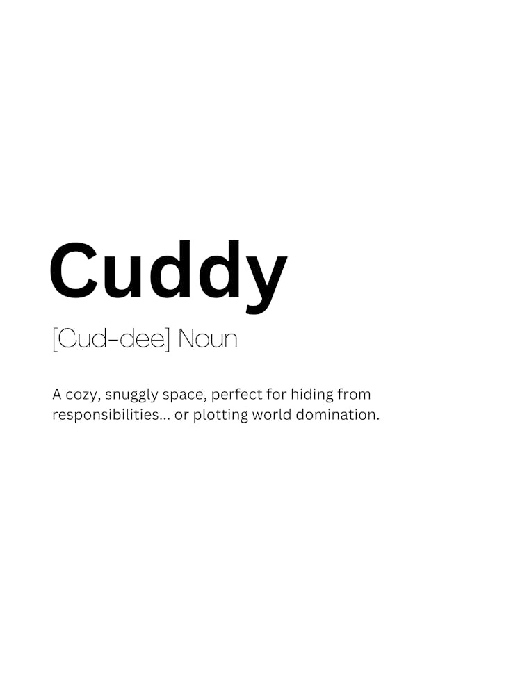 Cuddy Definition Meaning 1