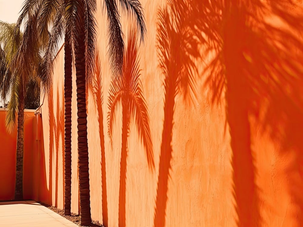 Shadows From Palm Tress On An Orange Wall Summer Photography