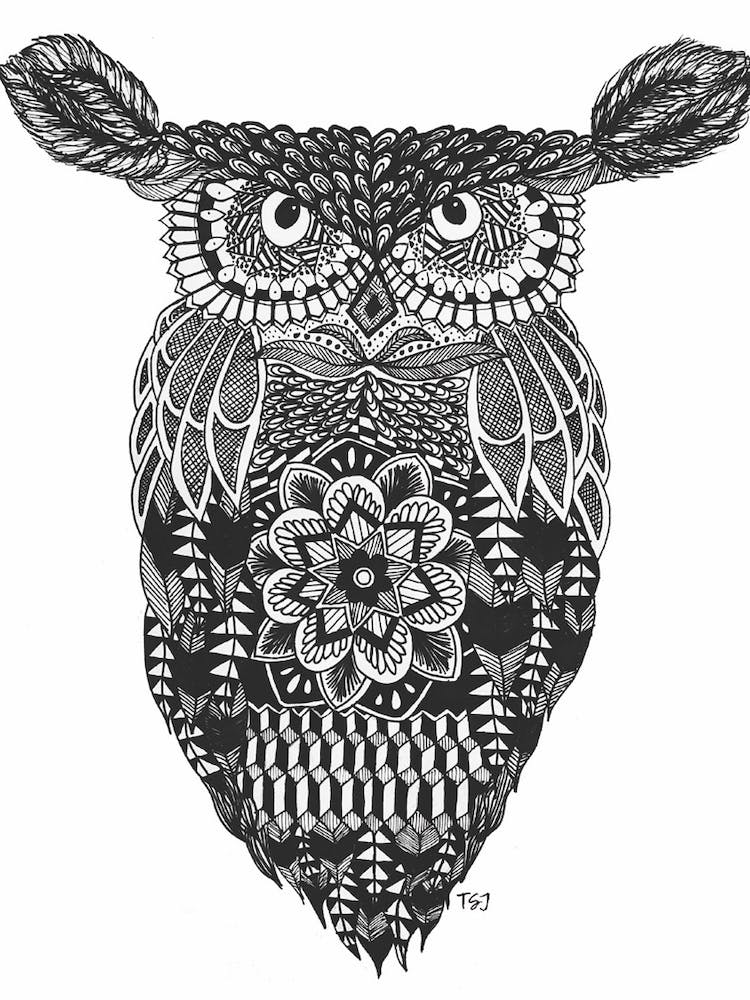 Black and White Owl