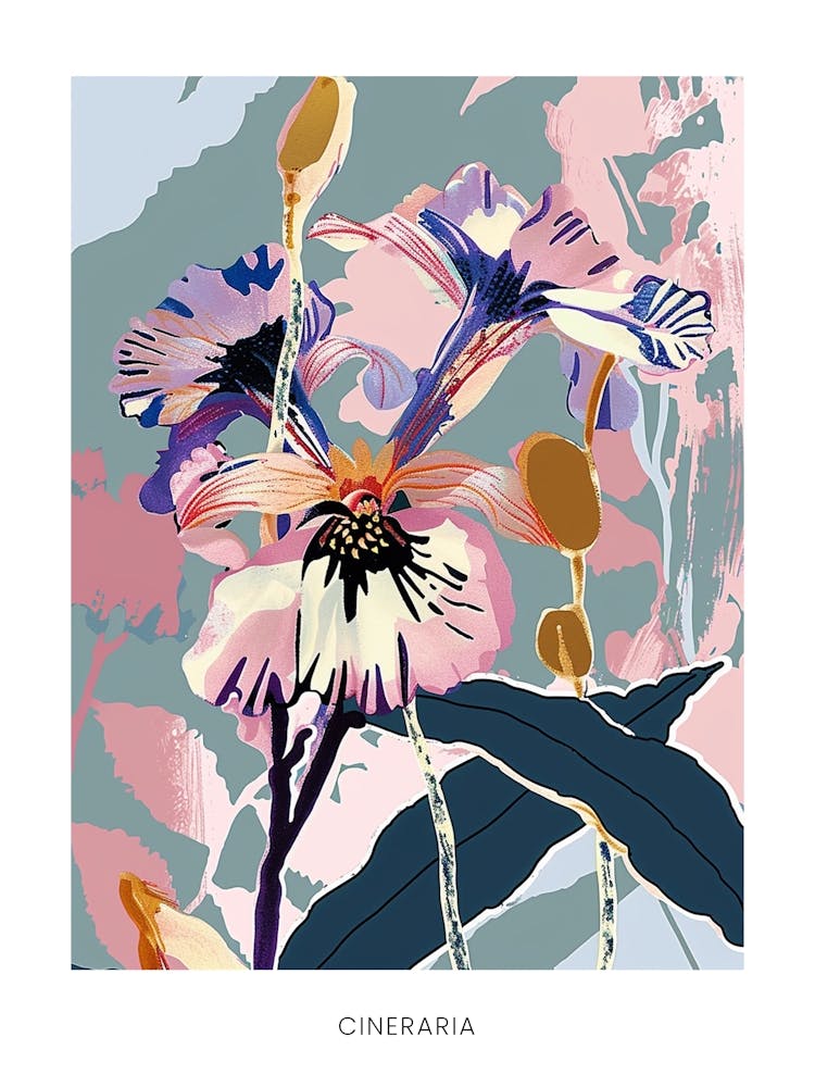Colourful Flower Illustration Poster Cineraria 6