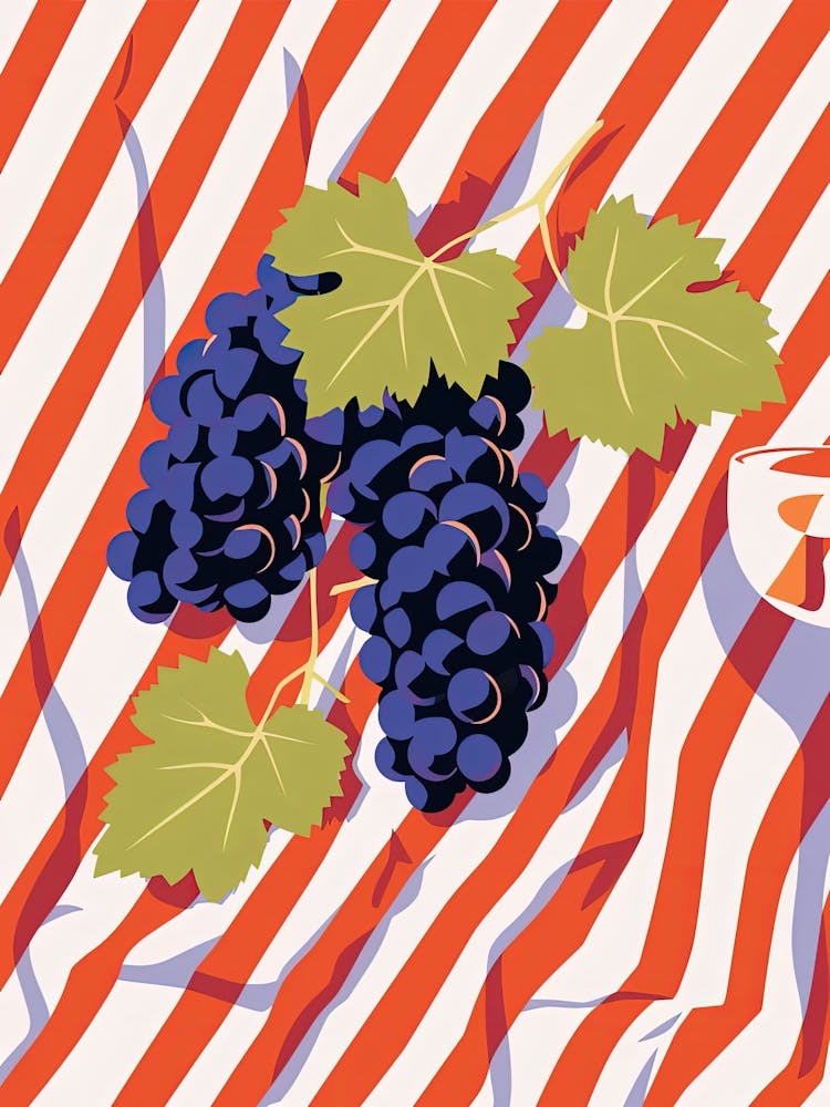 Grapes Fruit Summer Illustration 3
