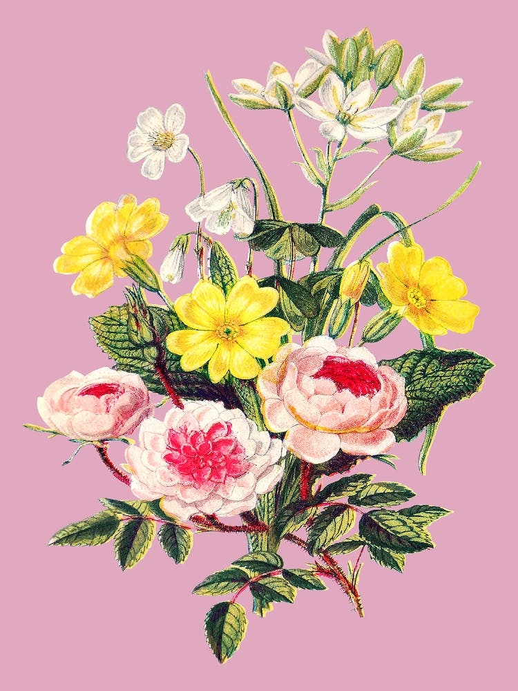 Vintage Bouquet Flowers Floral Illustration Pink