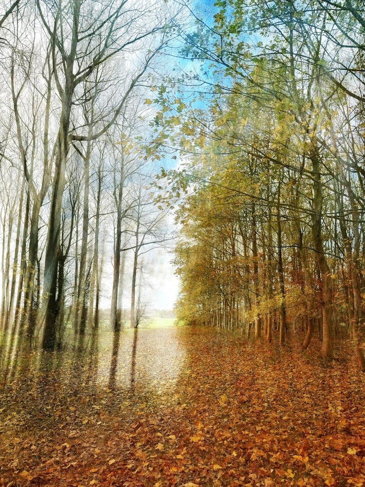 Herbstliche Decke