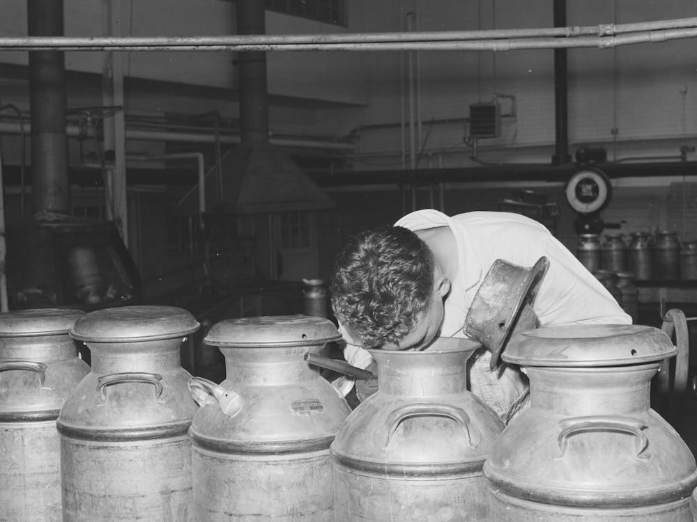 Tester Smelling Cream To Determine Its Freshness, Dairymen S Cooperative Creamery, Caldwell, Canyon County,