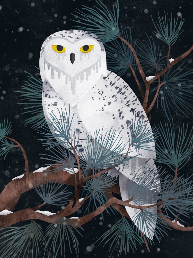Snowy Owl Dark Version