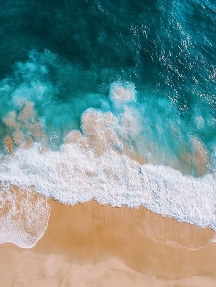 Aerial View Of The Beach 16