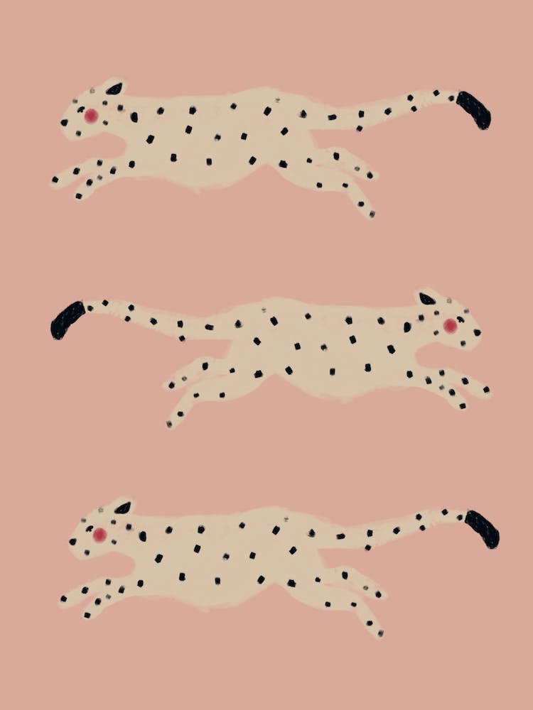 Pink Leopards