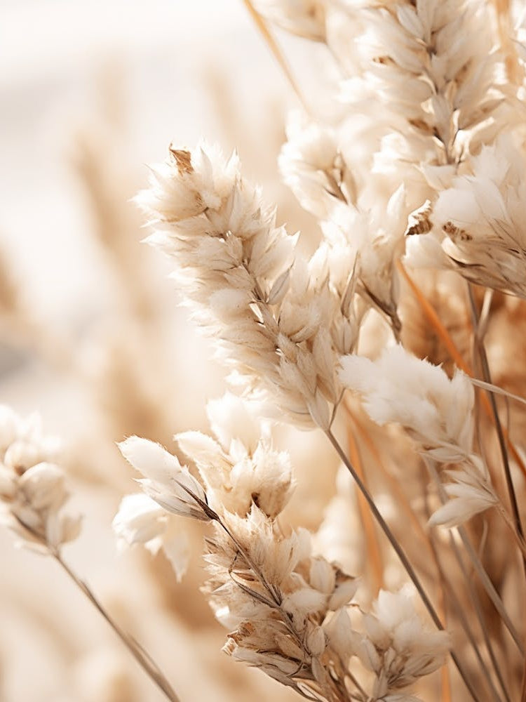 Boho Dried Flowers Statice 3