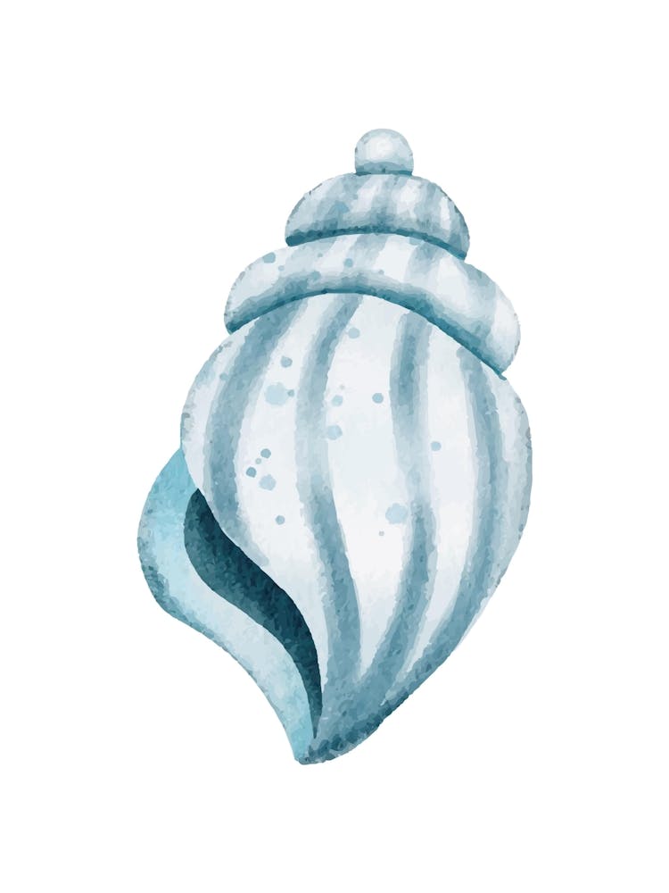 Aquarell Muschel