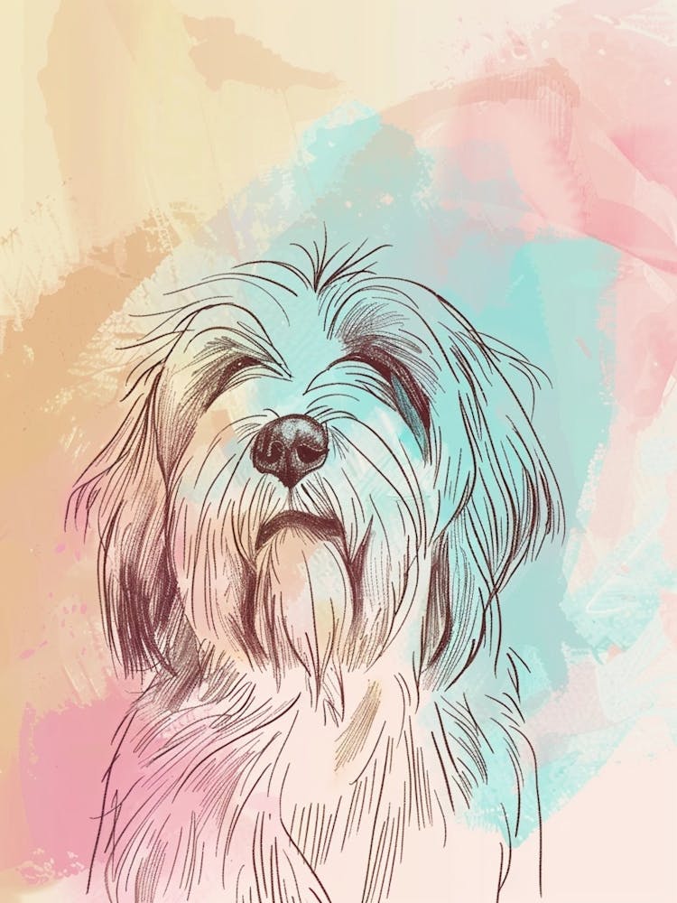 Pastel Bearded Collie Dog Pastel Line Illustration  2