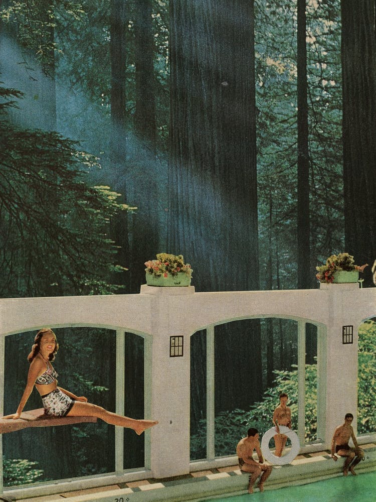 Swimming in the Forest