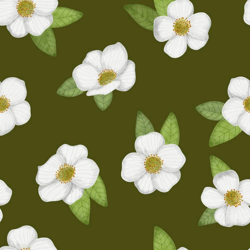 White flower and green leaves on brown