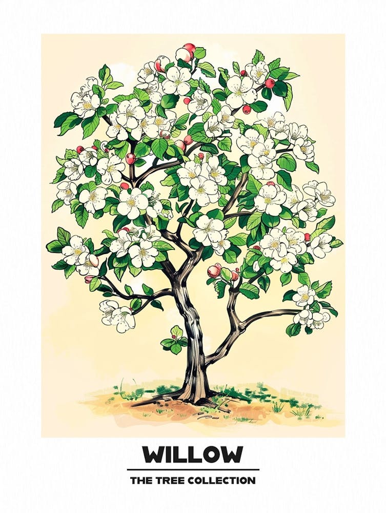 Willow Tree Storybook Illustration 4 Poster