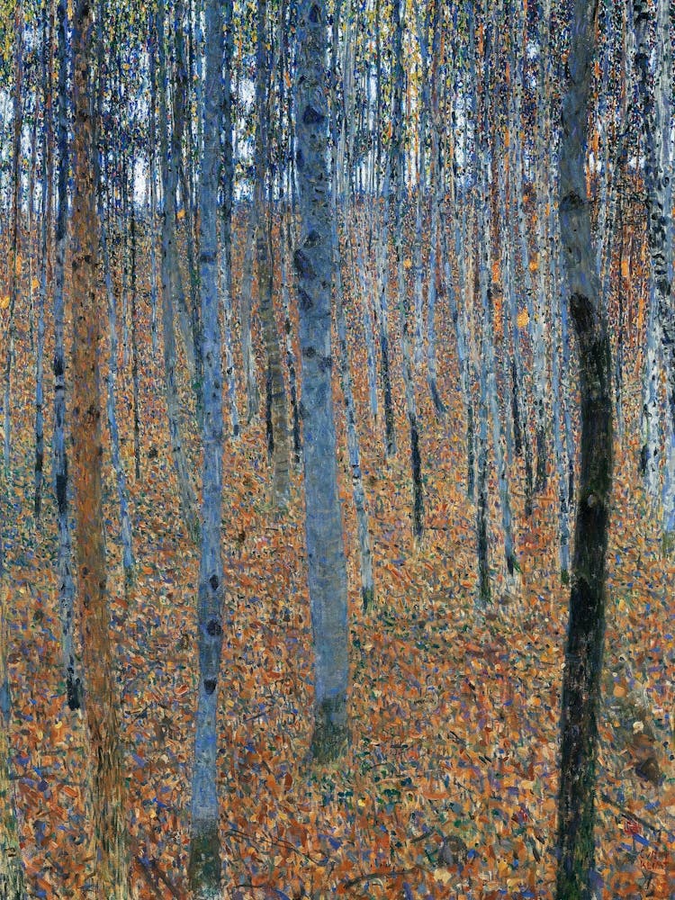 Birkenwald