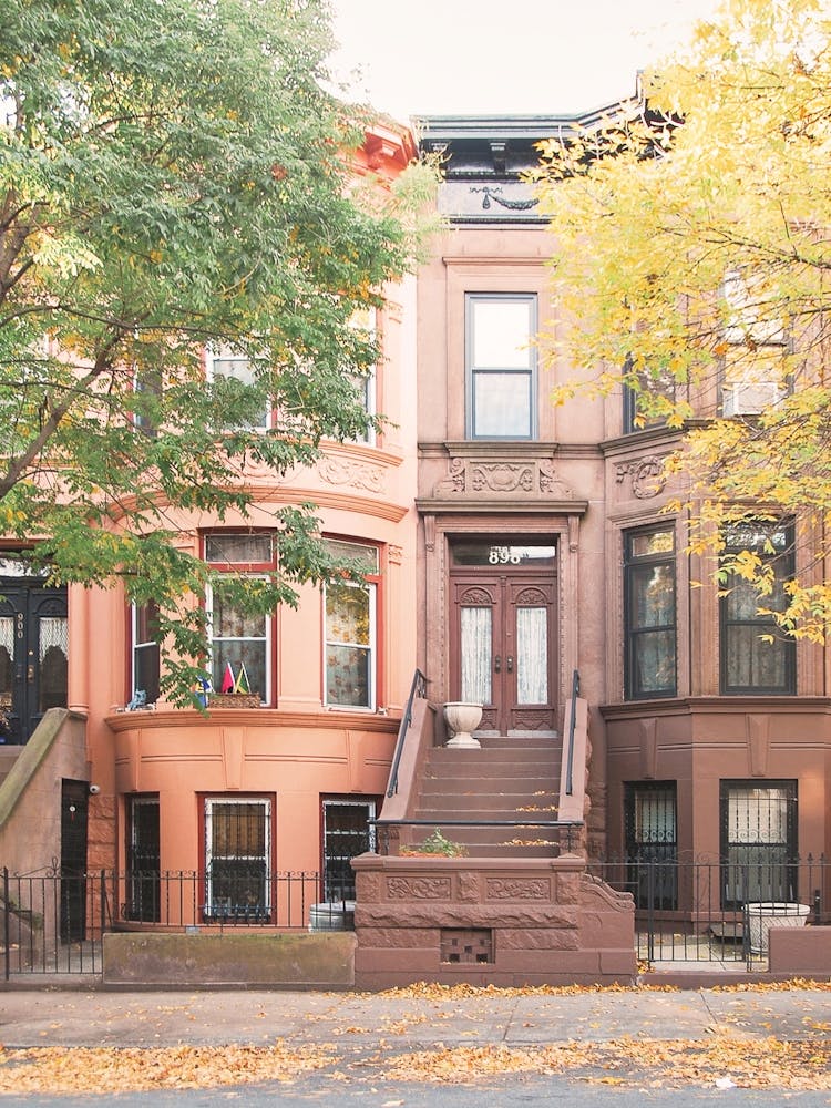 New York, USA I Street architecture with aesthetic orange autumn in the residential district of Brooklyn with cozy houses photography for a film movie or TV series cityscape with Carrie Bradshaw's apartment loft