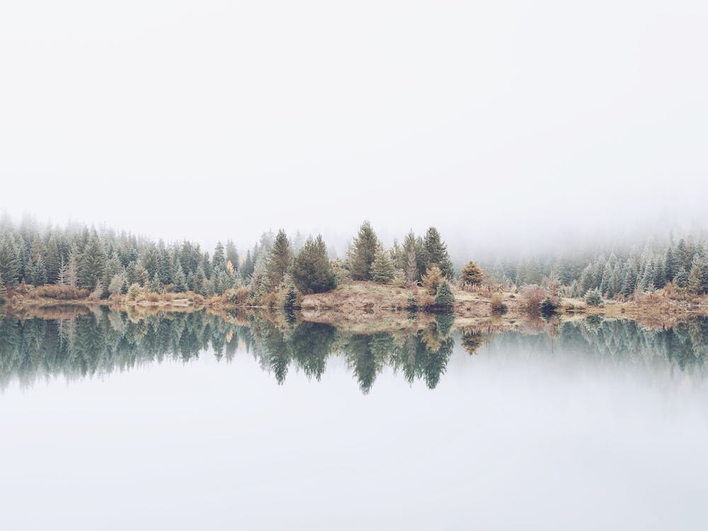 Forest Lake Reflection