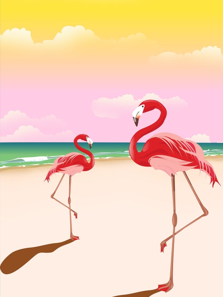 Flamingos On The Beach