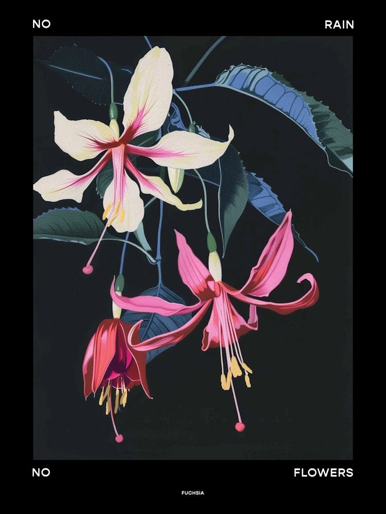 No Rain No Flowers Poster Fuchsia 2