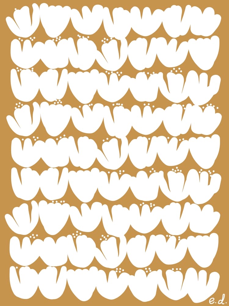 Tulips India Yellow 1