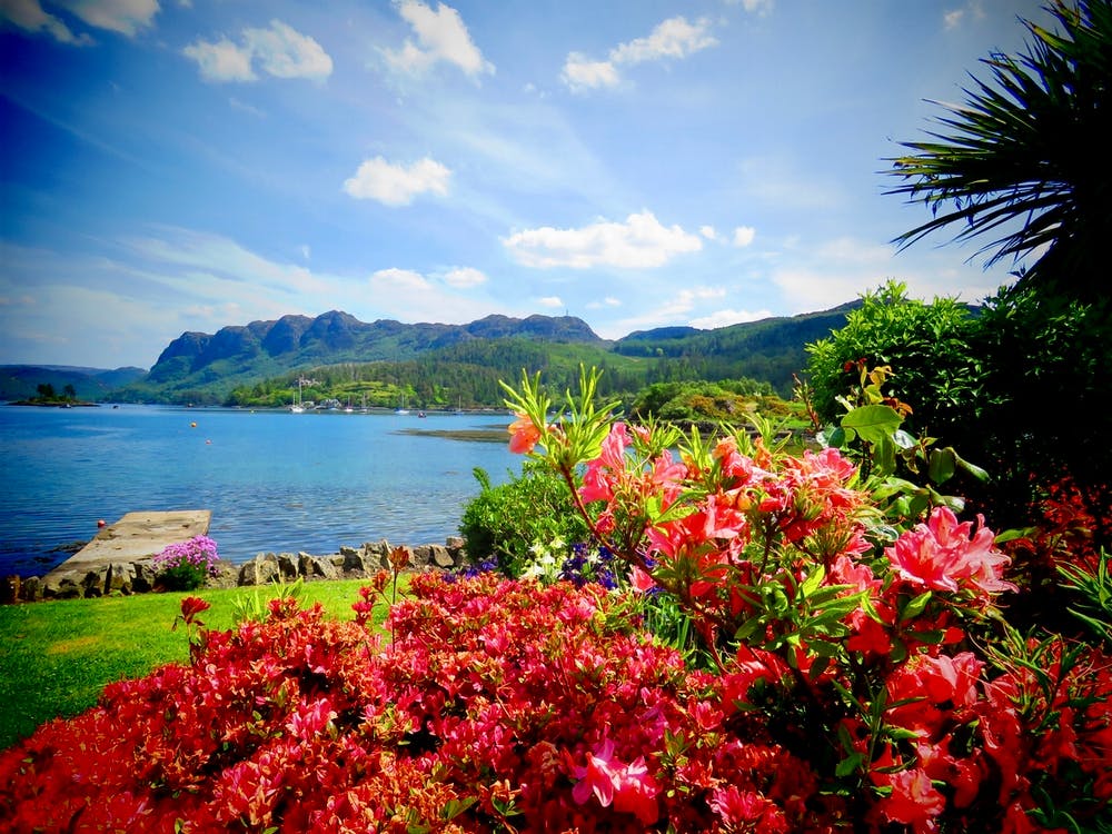Plockton Scotland Pretty Pink Flowers Ocean Sky