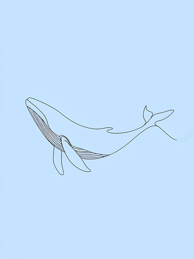 Humpback Whale