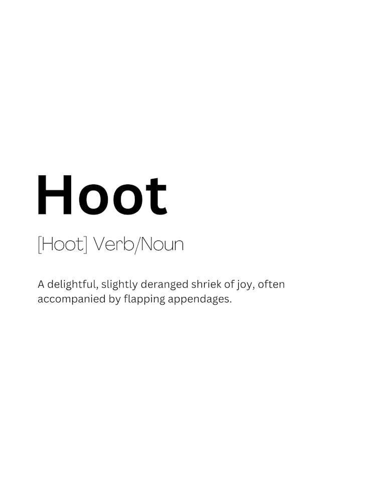 Hoot Definition Meaning