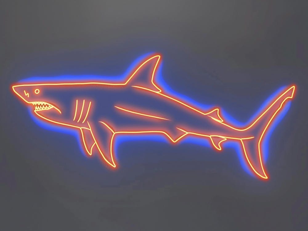 Orange Glatter Hammerhai Neon-Hai 1
