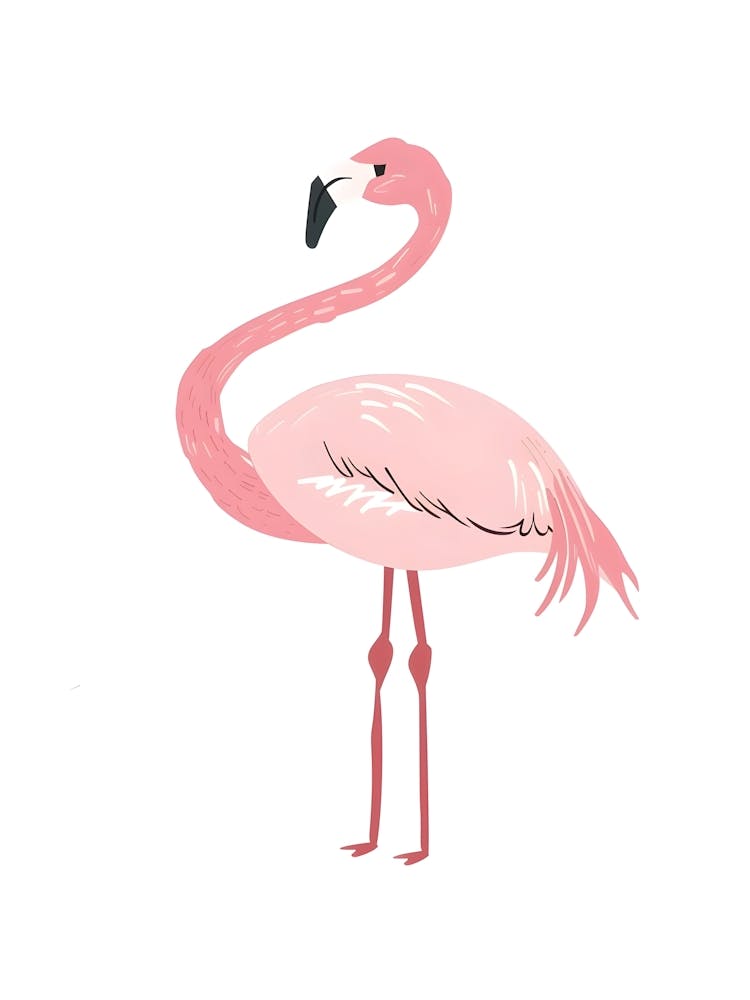 Pink Flamingo 8